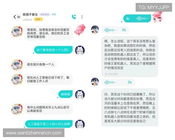 在BG大游真人官网体验最真实的游戏场景与专业客服支持全方位指南